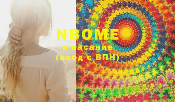 прущие грибы Вязьма