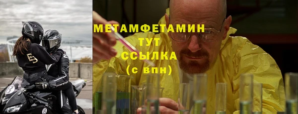 прущие грибы Вязьма