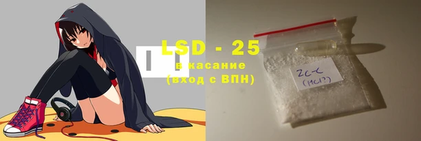 прущие грибы Вязьма