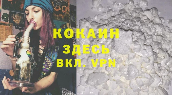 прущие грибы Вязьма