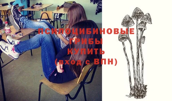 прущие грибы Вязьма